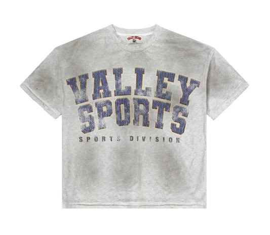 Vale State Sports Division Gym Tee "Grey"
