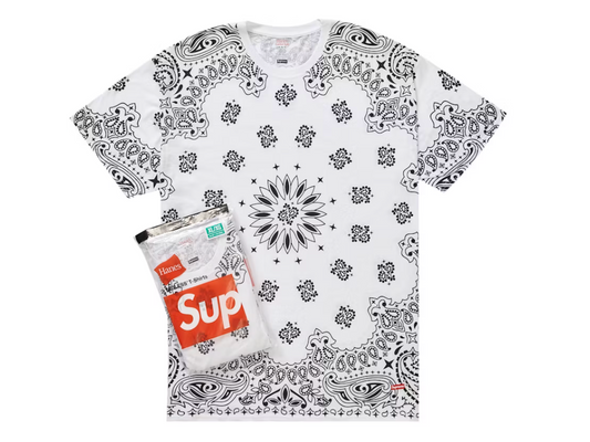 Supreme Hanes Bandana Tagless Tee 2 Pack "White"